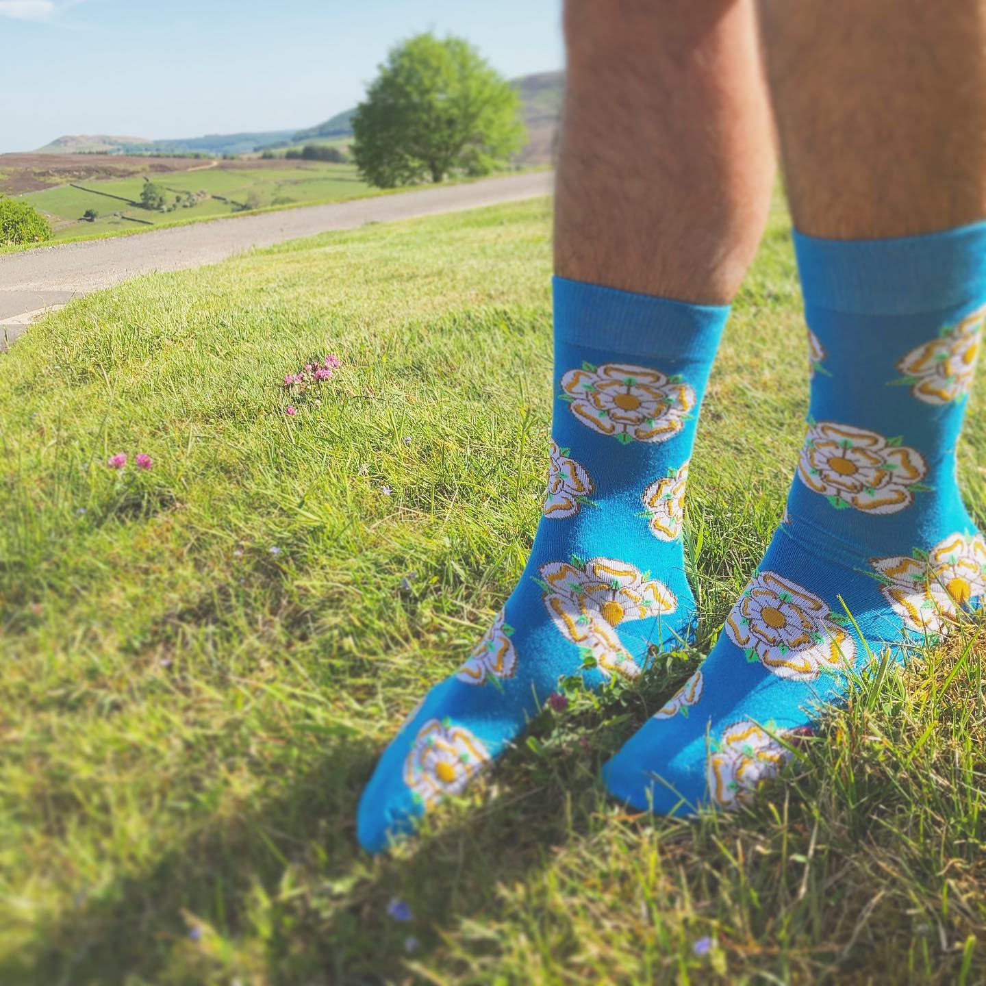 Blue Yorkshire Rose Socks - Adult