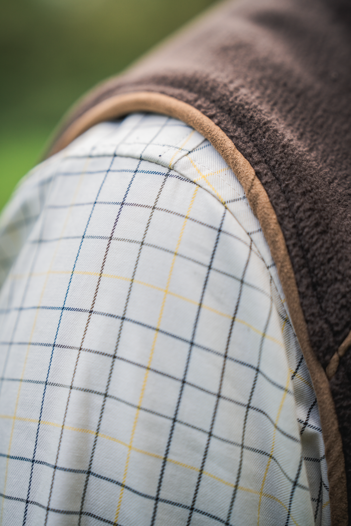 Portfield Shirt - Grape Leaf