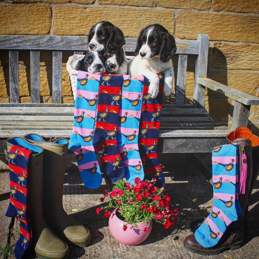 Purple & Pink Long Pheasant Welly Socks - Adult