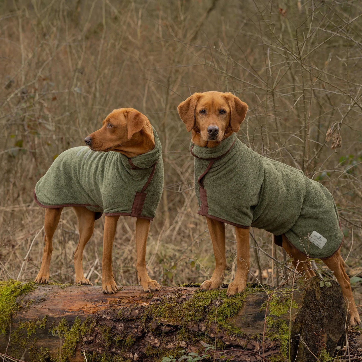 Country Dog Drying Coat - Moss