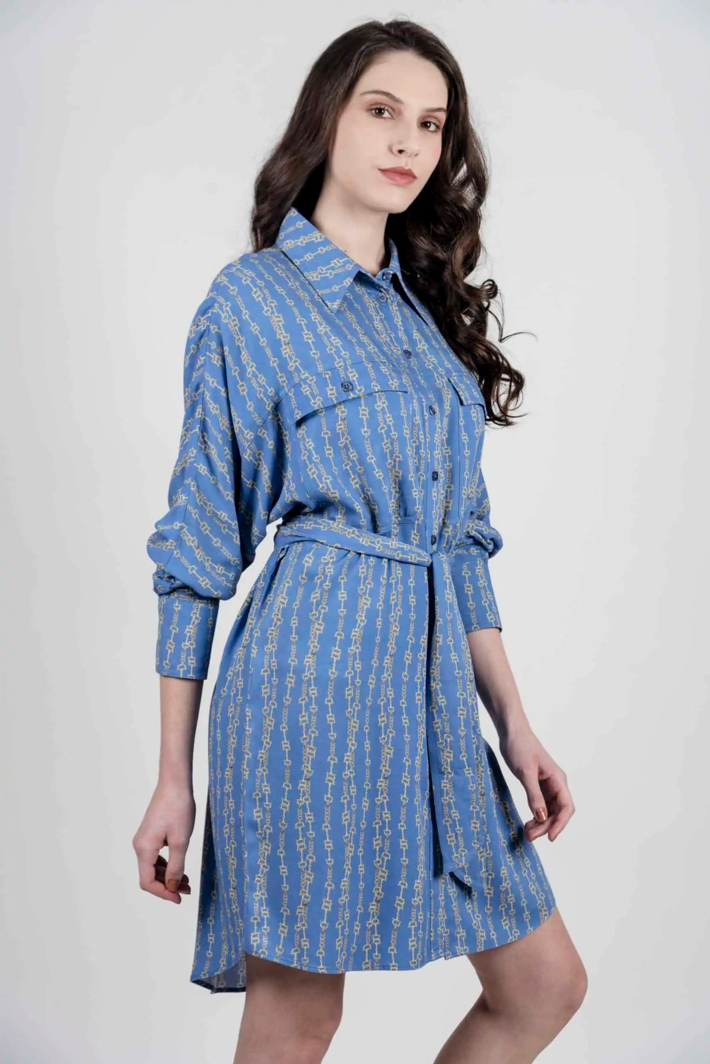 Tara Shirt Dress - Blue Chains