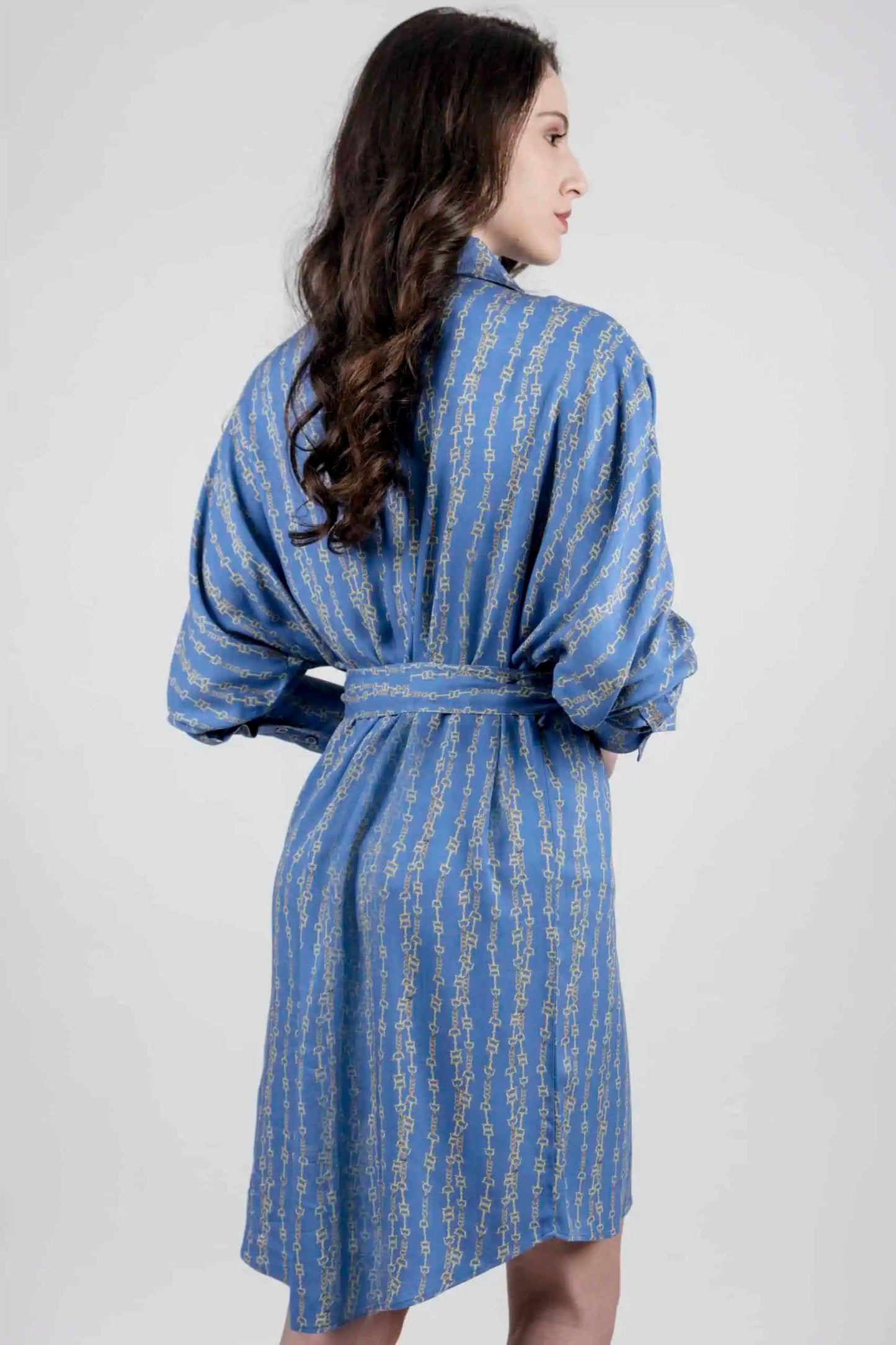 Tara Shirt Dress - Blue Chains