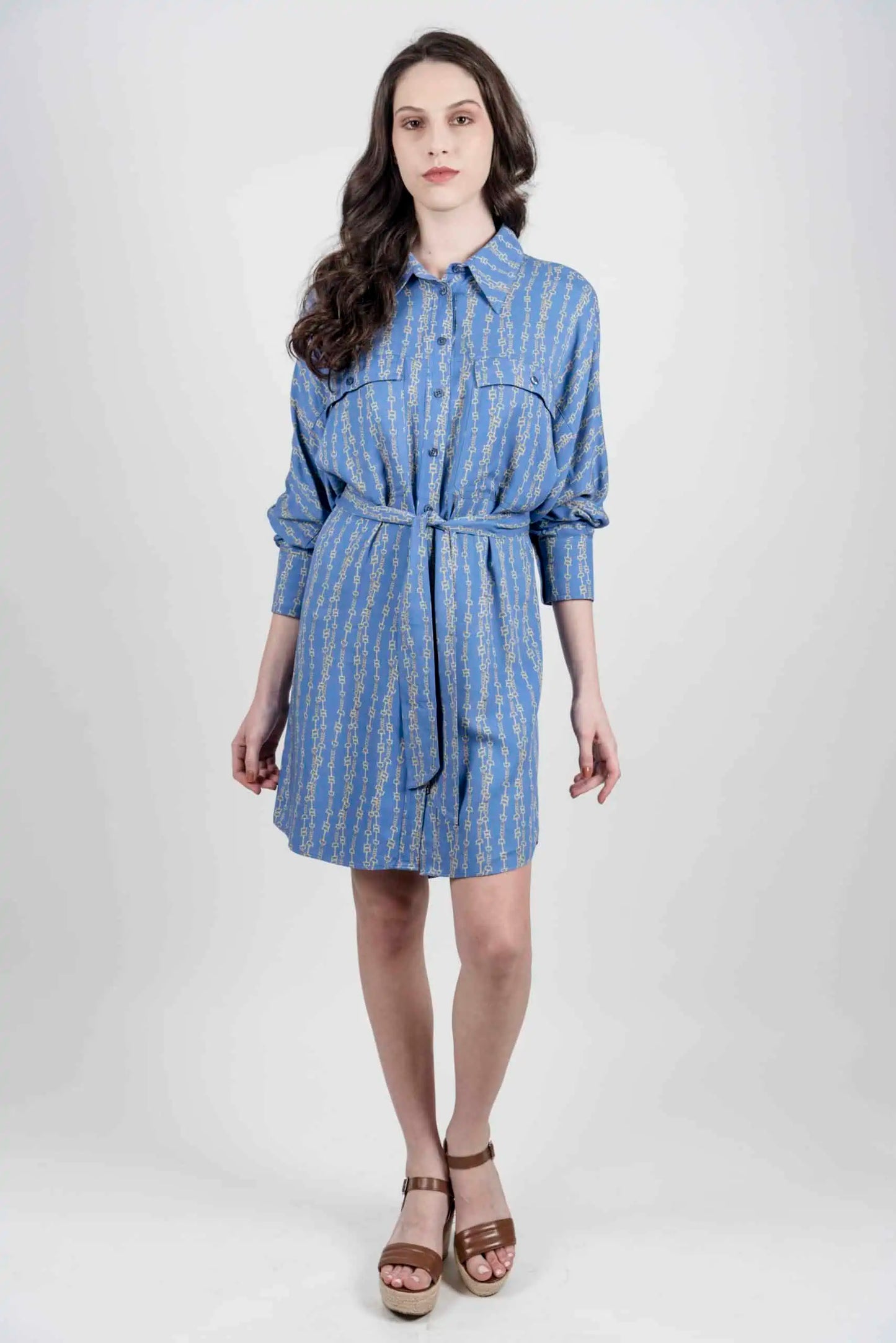 Tara Shirt Dress - Blue Chains