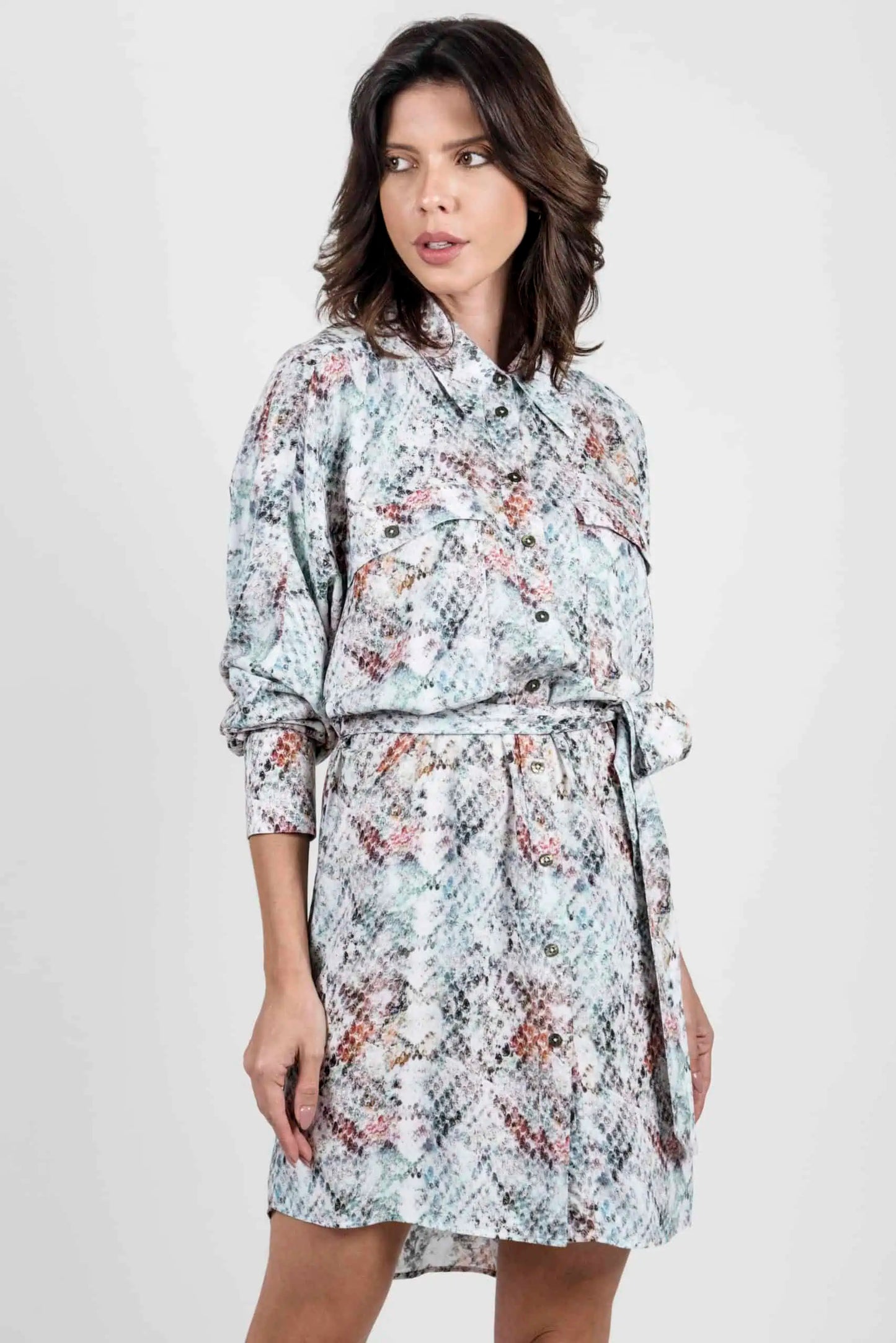 Tara Shirt Dress - Snakeskin