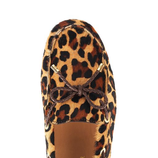 Henley Driver - Jaguar Haircalf