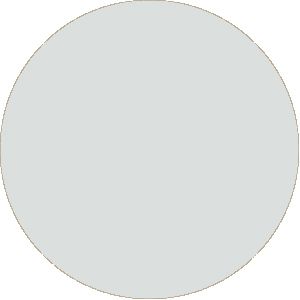 Margaret Polo - Ice Blue