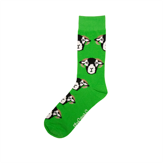 Green Sheep Socks - Adult