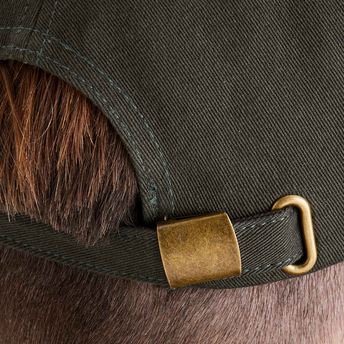 Ridgeline Signature Cap - Deep Forest