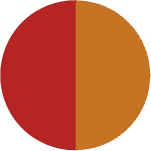 Cloudbuster Bandana - Red Ochre