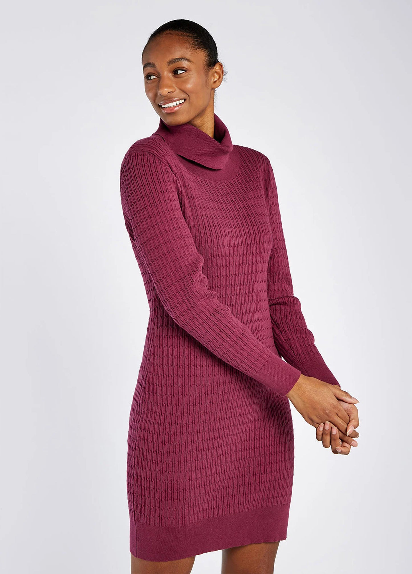 Raheen Fitted Dress - Currant