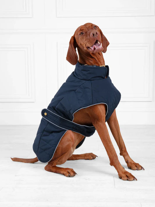 Charlotte Padded Dog Coat - Navy