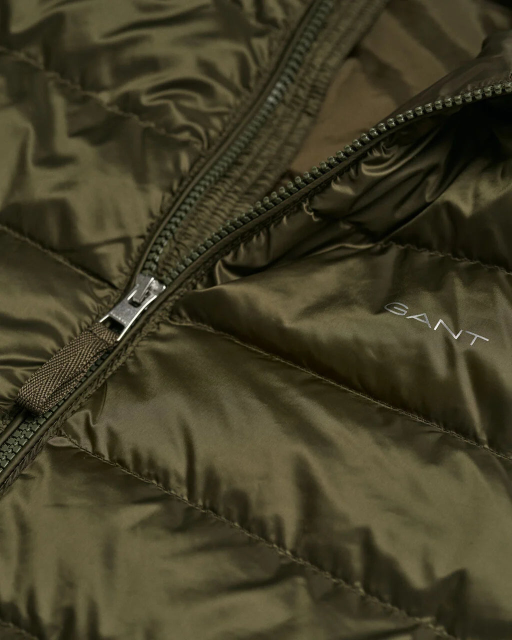 Light Down Jacket - Juniper Green